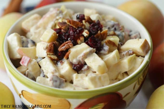 This Apple Cranberry Fruit Salad recipe is the perfect fall dessert. Apples, craisins and pecans pair up to create this delicious creamy fruit salad recipe.