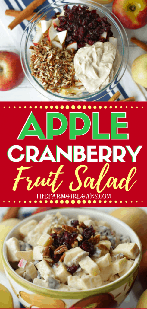 This Apple Cranberry Fruit Salad recipe is the perfect fall dessert. Apples, craisins and pecans pair up to create this delicious creamy fruit salad recipe. #fruitsalad #apple #applerecipe #fallrecipe #fallbaking #appledessert