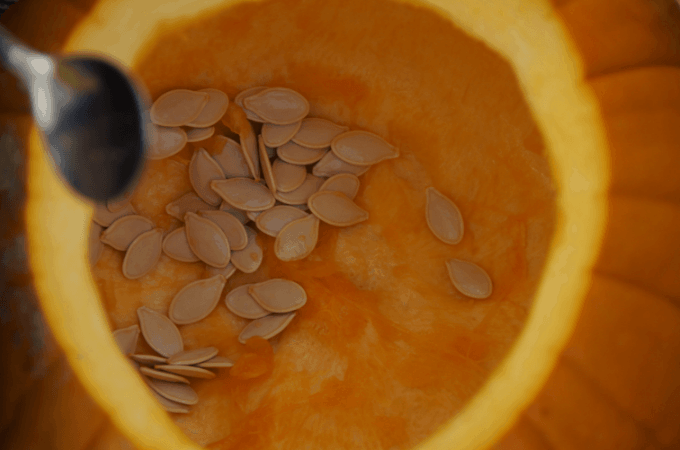 Are you a fan of all things pumpkin? Fall is here and I am excited to start baking pumpkin recipes. Today I am sharing some simple tips for Cooking With Pumpkin.
