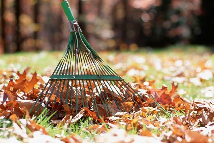 10 Fall Garden Clean-Up Tips You Need To Do Now!