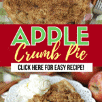 This Apple Crumb Pie is about as American as you can get. Made with juicy apples, a flaky pie crust and a topped with a delicious crumb topping, this apple pie is perfect to enjoy any time of the year…especially during the fall. #applepie #applecrumbpie #pierecipe
