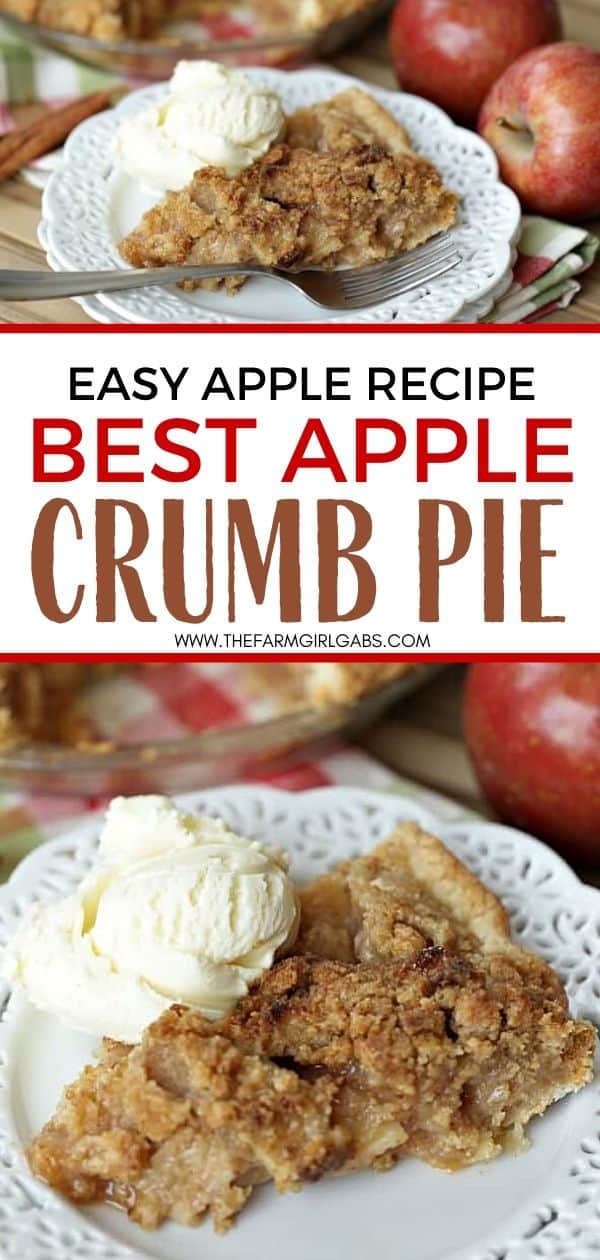 The Best Apple Crumb Pie - The Farm Girl Gabs®