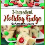Tis the season for some sweet treats. This festive 3-Ingredient Holiday Fudge only takes a few ingredients and a few minutes to make and is so delicious! #FudgeRecipe #Fudge #Candy #ChristmasCookies #HolidayFudge #ChristmasRecipe #CandyRecipe #Christmascookieexchange #Christmascookierecipe #ChristmasCookies