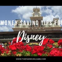Money Saving Tips For Walt Disney World