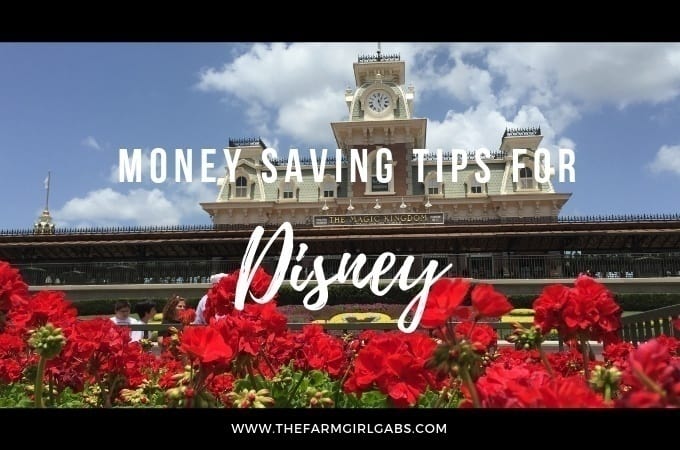 Money Saving Tips For Walt Disney World