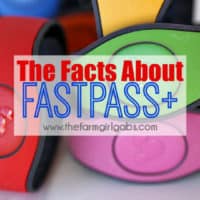 Everything You Need To Know About Fastpass+ at Walt Disney World