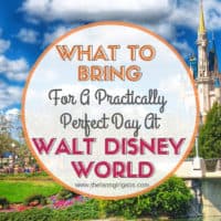 What To Bring For A Practically Perfect Day At Walt Disney World