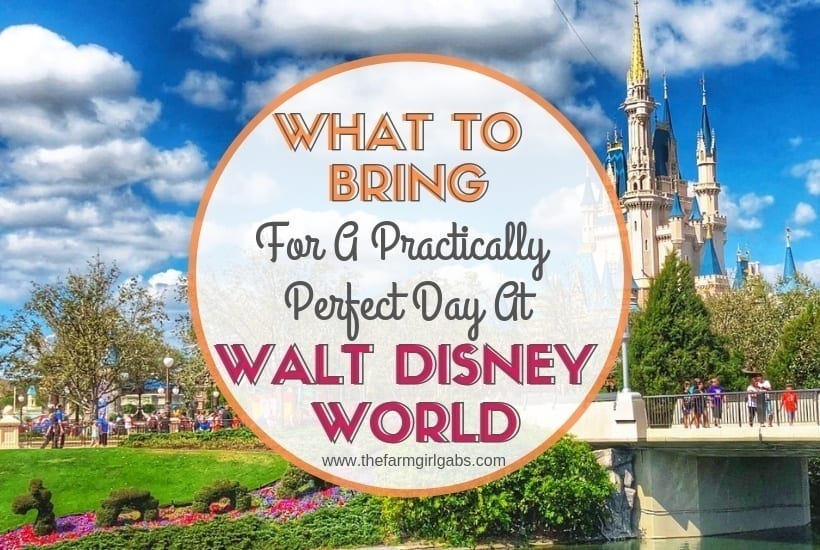 What To Bring For A Practically Perfect Day At Walt Disney World