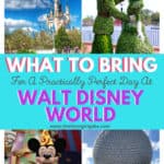 Are you ready to do Disney? Here are some helpful Walt Disney World Tips for What To Pack For A Practically Perfect Day At Walt Disney World. Check out this ulitmate disney packing tips post for your day trip to the parks. #waltdisneyworld #disneypackingtips #disneyland