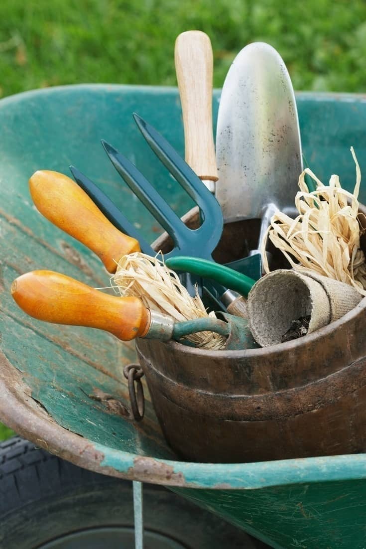 It's never too early to start planning your spring flower garden. These helpful tips for a better Spring Flower Garden with get your garden growing in no time.