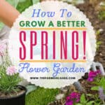 It's never too early to start planning your spring flower garden. These helpful tips for a better Spring Flower Garden with get your garden growing in no time. Be sure to check out these helpful spring gardening tips. #gardeningtips #gardens #gardeningideas