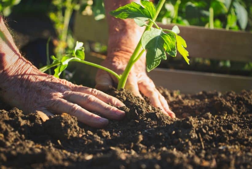 Get Your Garden Growing this summer with this Printable Vegetable Gardening Guide. This free gardening guide will help guide you in planting a spring garden.
