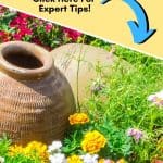 It's never too early to start planning your spring flower garden. These helpful tips for a better Spring Flower Garden with get your garden growing in no time. Growing a flower garden adds color and beauty to your landscape. Follow these flower gardening tips for the best garden growing success this spring. How To Grow A Flower Garden.