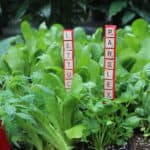 Looking for an easy and fun gardening craft for the whole family? These Letter Tile Garden Markers are simple and look great in your vegetable garden.