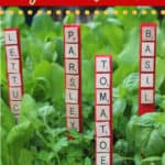 Looking for an easy and fun gardening craft for the whole family? These Letter Tile Garden Markers are simple and look great in your vegetable garden. #gardeningtips #gardencraft #Kidscraft