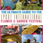 Spring is in the air at Walt Disney World. The Epcot Flower And Garden Festival is in full bloom. Check out this Ultimate Guide To Epcot Flower And Garden Festival before you go. #Epcot #DisneyWorld #EpcotFlowerAndGardenFestival