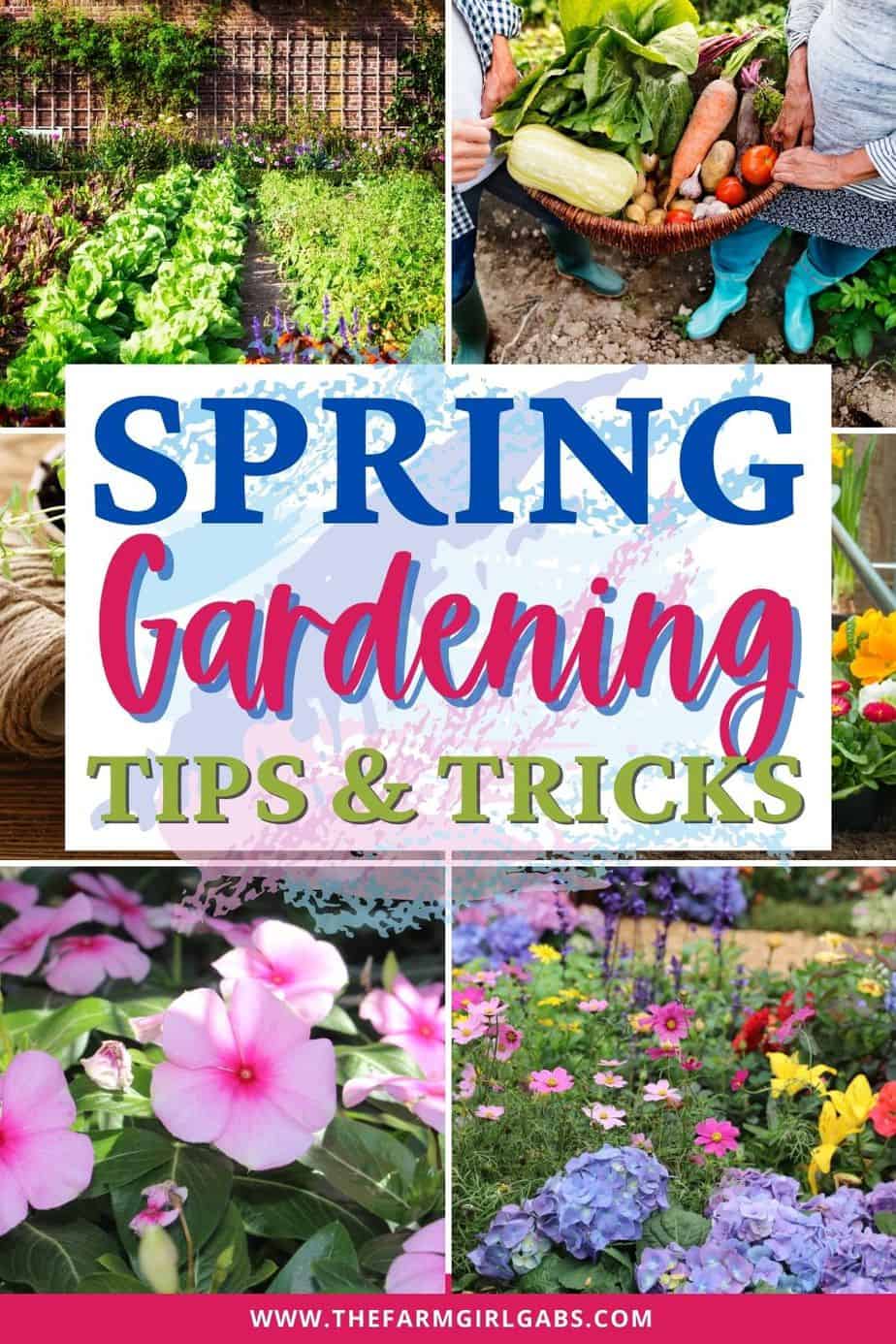 It's never too early to start planning your spring flower garden. These helpful tips for a better Spring Flower Garden with get your garden growing in no time. Growing a flower garden adds color and beauty to your landscape. Follow these flower gardening tips for the best garden growing success this spring.