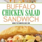 This buffalo chicken salad sandwich is so tasty! Packed with chicken fruit and veggies, It's the perfect sweet and spicy chicken salad sandwich recipe for lunch or dinner.