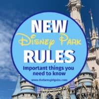Disney Park Bans Coming to Disneyland Resort and Walt Disney World