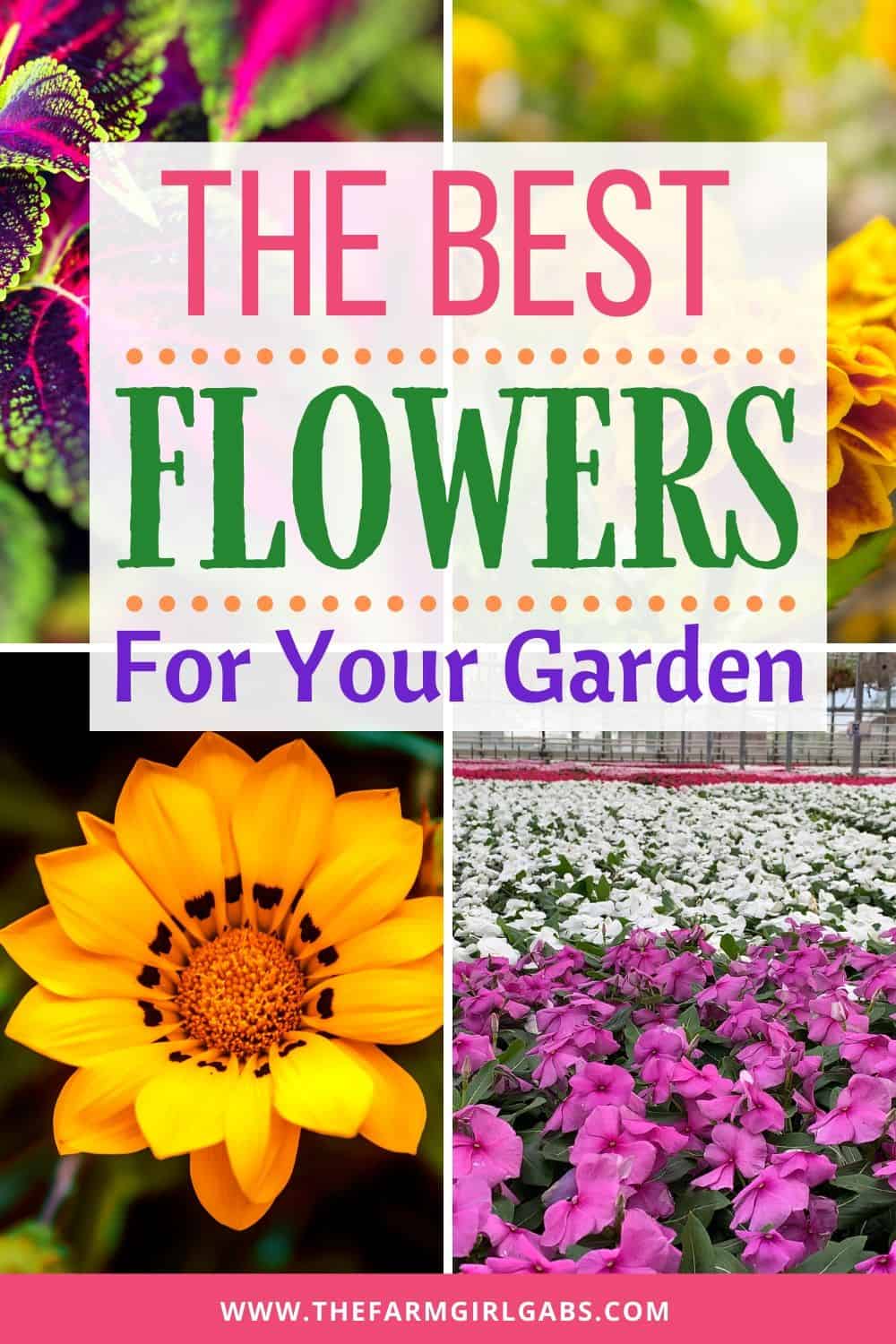 Get your gardens growing. Celebrate spring with these helpful gardening tips. Here is the Ultimate List of Popular Flowers for your Flower Garden. #Gardeningtips #Gardening #Flowers #SpringGardening #FlowerGarden