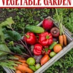 Spring is in the air and it’s a perfect time to start thinking about your vegetable garden. Here are helpful tips on How To Start A Vegetable Garden.