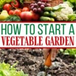 Spring is in the air and it’s a perfect time to start thinking about your vegetable garden. Here are helpful tips on How To Start A Vegetable Garden.