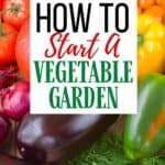 Spring is in the air and it’s a perfect time to start thinking about your vegetable garden. Here are helpful tips on How To Start A Vegetable Garden.
