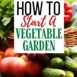 Spring is in the air and it’s a perfect time to start thinking about your vegetable garden. Here are helpful tips on How To Start A Vegetable Garden.