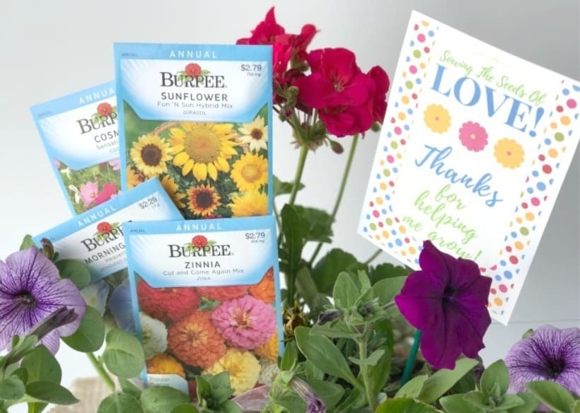 Spread some garden love and cheer with this Sowing The Seeds Burlap Planter And Printable. It's a perfect gift for Mother's Day or Teacher Appreciation. #GardeningTip #GardenGift #Flower #GiftIdea #FreePrintable #GiftTag