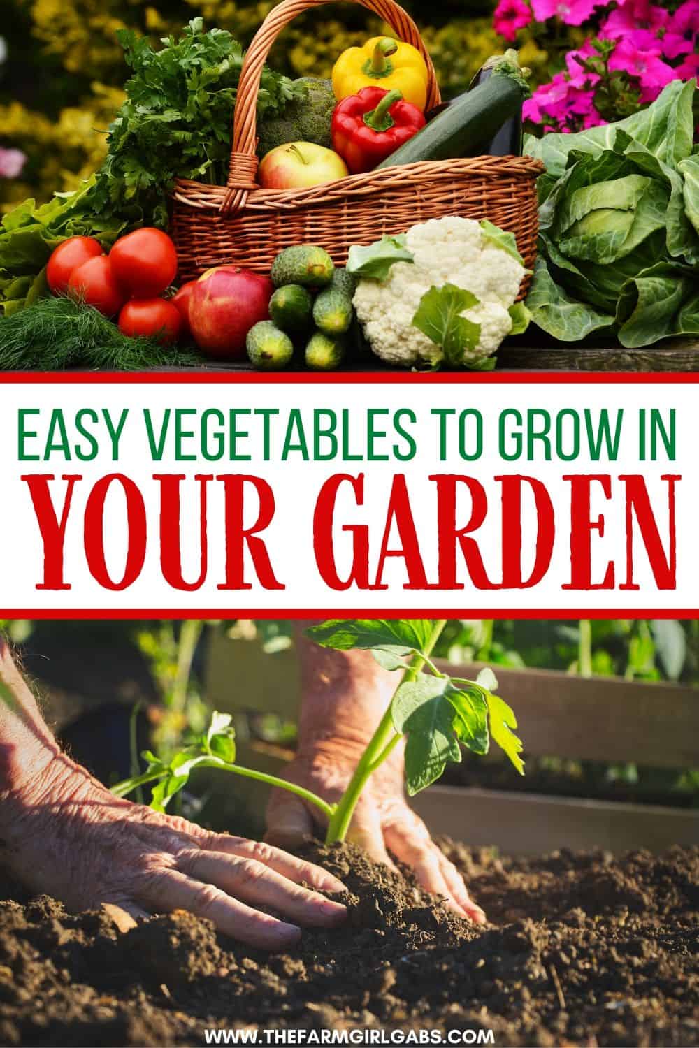 Easy Vegetables To Grow In Your Garden - The Farm Girl Gabs®