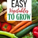 Ready to dig in and start planting your garden? I have some helpful gardening tips. Here is a list of Easy Vegetables To Grow In Your Garden.