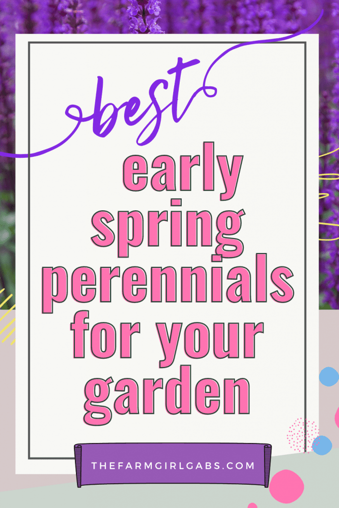 The Best Perennial Flowers for Early Spring - The Farm Girl Gabs®