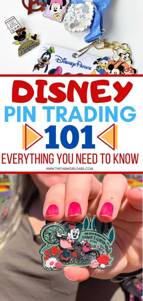 The Essential Guide To Disney Pin Trading 101 - The Farm Girl Gabs®