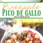 Pineapple Pico de Gallo long pin