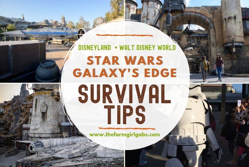 Galaxy's Edge Plans: Survival Tips For Your Next Disney Trip