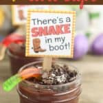 Hey howdy hey! Need some fun Toy Story Party Ideas? These Sheriff Woody Dirt Cups will be a big hit at your next birthday party. Check them out plus these other fun Toy Story Birthday Party ideas. #toystory #toystorypartyideas #toystorybirthdayparty #pixarparty #disneytips #dirtcups