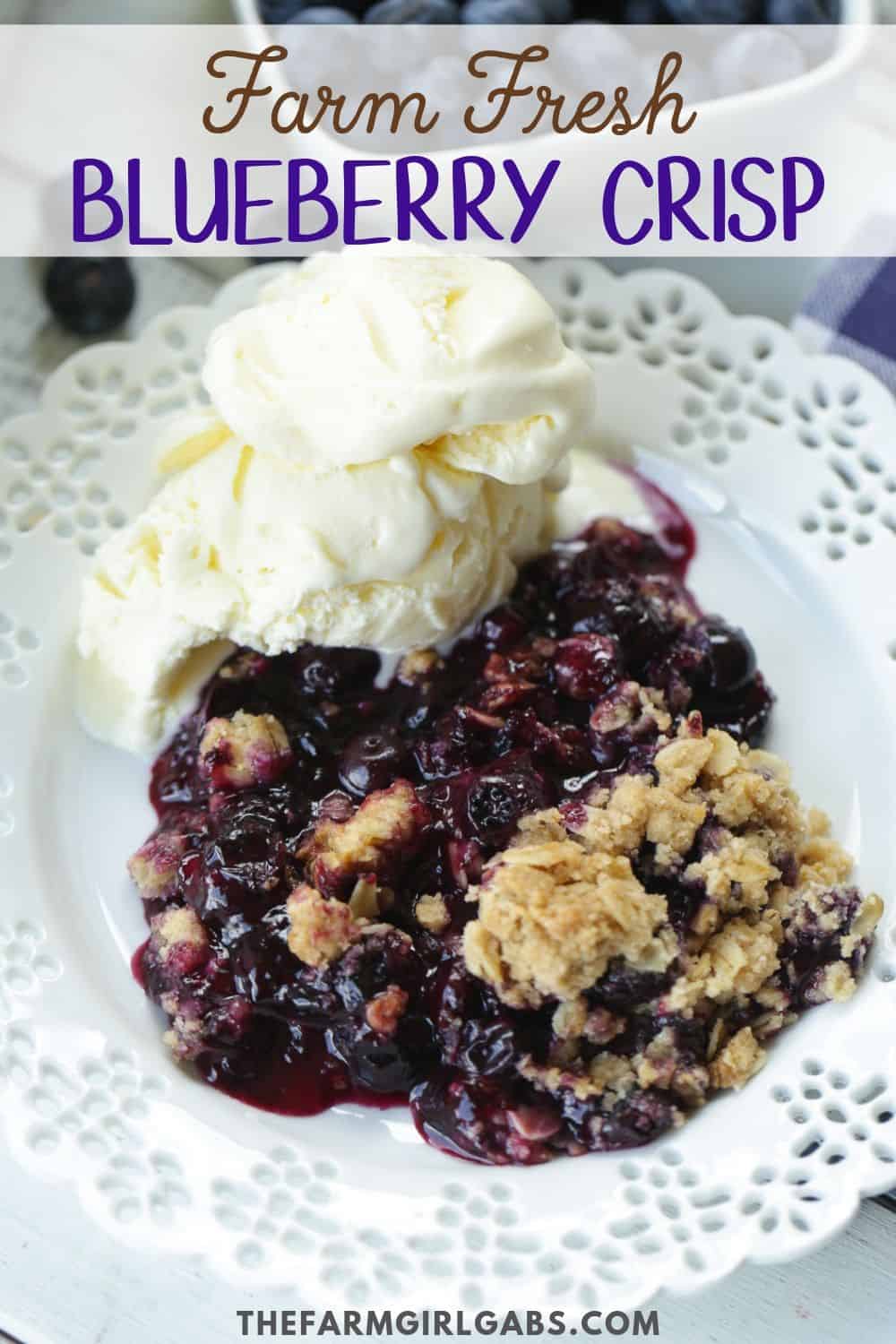 Quick & Easy Blueberry Crisp - The Farm Girl Gabs®