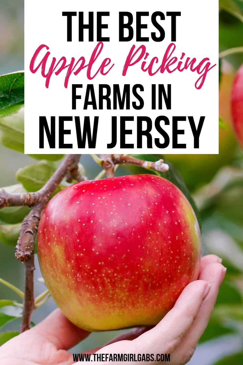 Ready for some fall fun? It's apple season. Take the family to one of the Best Farms To Pick Your Own Apples In NJ. #applepicking #njappleorchards #pickyourownapplesnj