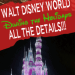 Mickey's Very Merry Christmas Party will once again headline all of the festivities for the Disney World 2019 Christmas season. #DisneyChrismtas #DisneyTips #DisneyPackingList