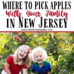 Ready for some fall fun? It's apple season in New Jersey. Take the family out to the apple orchard to pick your own apples. The New Jersey Apple Orchards are the Best Farms To Pick Your Own Apples In NJ. #applepicking #njappleorchards #pickyourownapplesnj