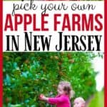Ready for some fall fun? It's apple season in New Jersey. Take the family out to the apple orchard to pick your own apples. The New Jersey Apple Orchards are the Best Farms To Pick Your Own Apples In NJ. #applepicking #njappleorchards #pickyourownapplesnj