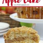Salted Caramel Apple Cake is moist, fluffy and loaded with fresh sweet apples. It is then drizzled with a decadent salted caramel glaze. This apple cake recipe is a winner! #applecake #applecrumbcake #saltedcaramel #appledessert