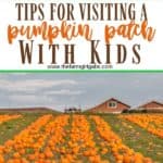 Tips For Visiting a Pumpkin Patch With Kids. Helpful tips for picking pumpkins with your family. #pumpkincraft #pumpkindecorating #fallfun
