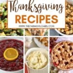 Plan your perfect Thanksgiving Day menu. From appetizers to dessert and the main dish in between your Thanksgiving dinner will be a success with one or more of these delicious 101 Best Thanksgiving Recipes. #Thanksgivingrecipe #maindish #thanksgivingsidedish #desserts
