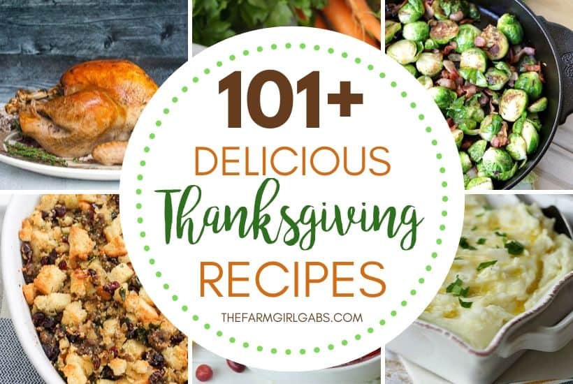Plan your perfect Thanksgiving Day menu. From appetizers to dessert and the main dish in between your Thanksgiving dinner will be a success with one or more of these delicious 101 Best Thanksgiving Recipes. #Thanksgivingrecipe #maindish #thanksgivingsidedish #desserts