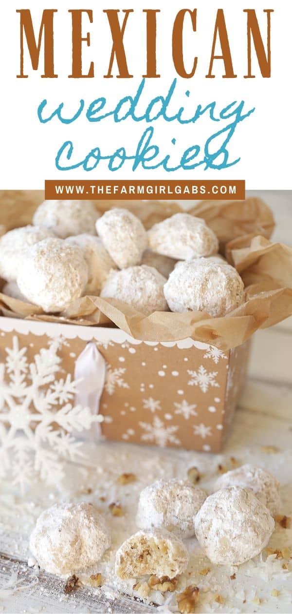 Mexican Wedding Cookies (Snowball Cookies) - The Farm Girl Gabs®