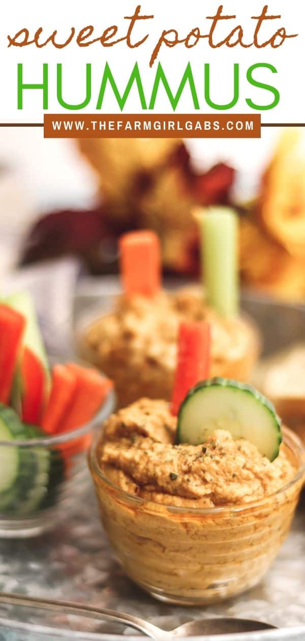 Add a delicious fall twist to a traditional hummus recipe. This Sweet Potato Hummus recipe is a tasty appetizer or snack. #hummus #easyappetizer #sweetpotatorecipe