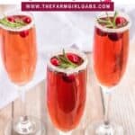Toast the holiday season with this refreshing Cranberry Mimosa. This seasonal drink is perfect to serve at Thanksgiving, Christmas or to ring in the New Year.