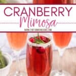 Toast the holiday season with this refreshing Cranberry Mimosa. This seasonal drink is perfect to serve at Thanksgiving, Christmas or to ring in the New Year.