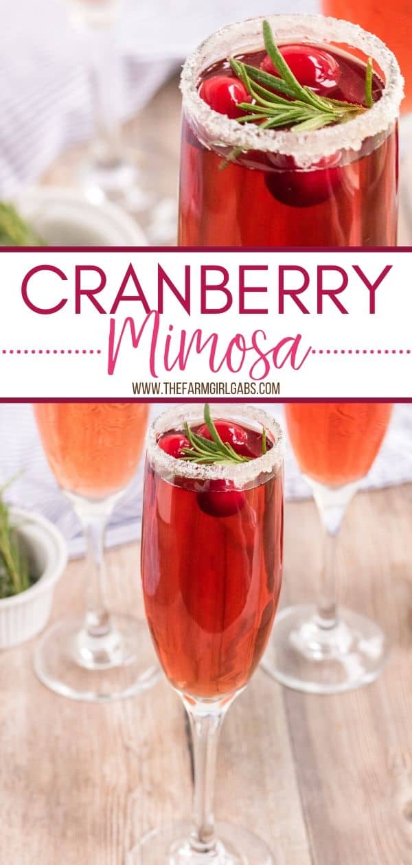 Toast the holiday season with this refreshing Cranberry Mimosa. This seasonal drink is perfect to serve at Thanksgiving, Christmas or to ring in the New Year.